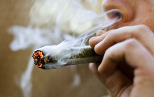 marijuana smoke removal